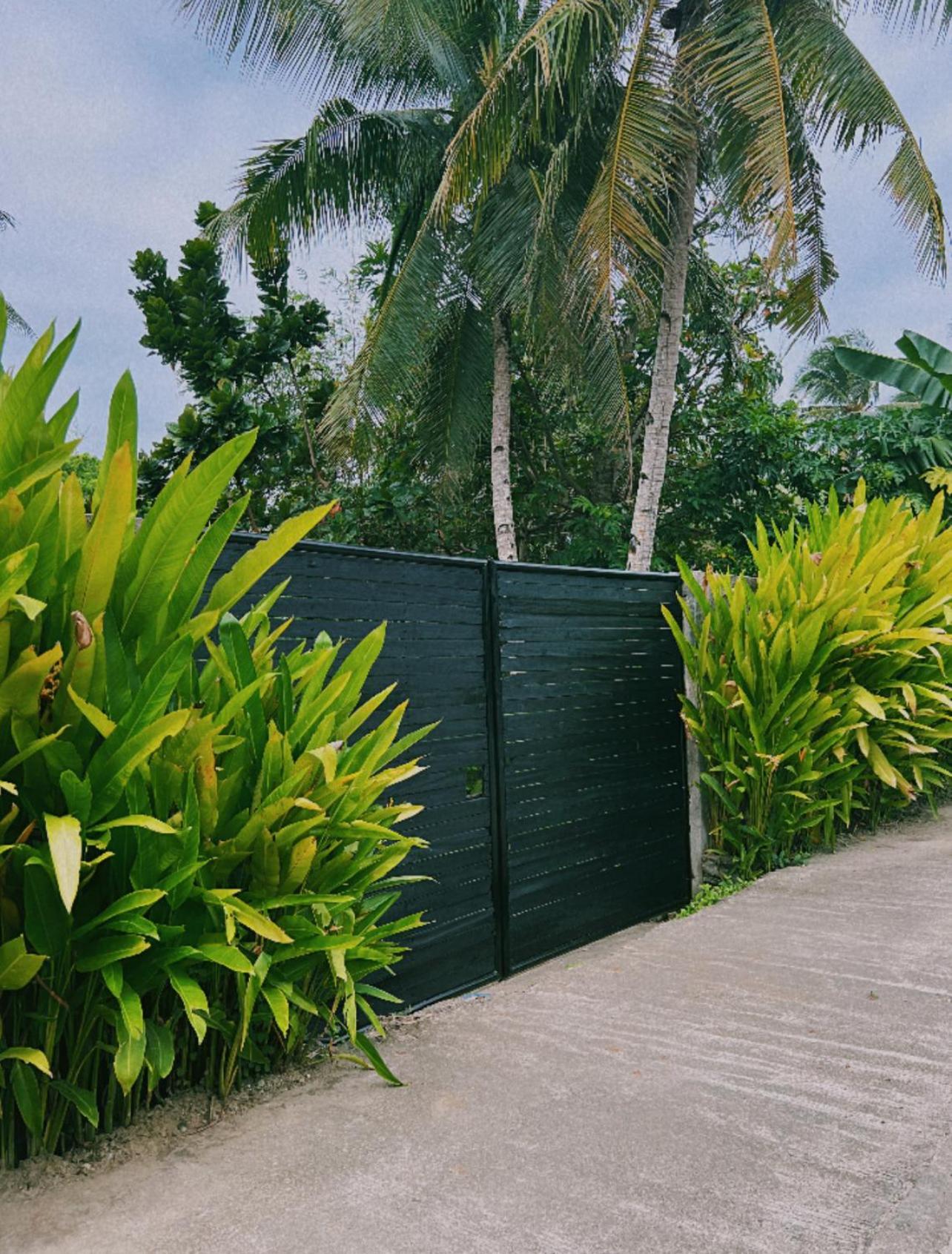Secret Pool Villa Tuason Beach General Luna  Ngoại thất bức ảnh